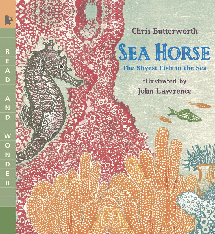 Couverture_Sea Horse: The Shyest Fish in the Sea