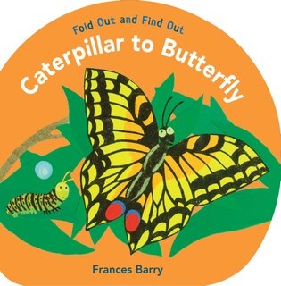 Couverture_Caterpillar To Butterfly: Fold Out And Find Out