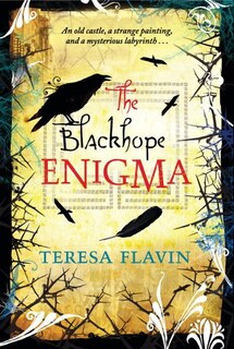 Couverture_The Blackhope Enigma