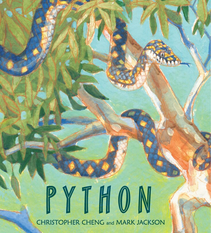 Couverture_Python