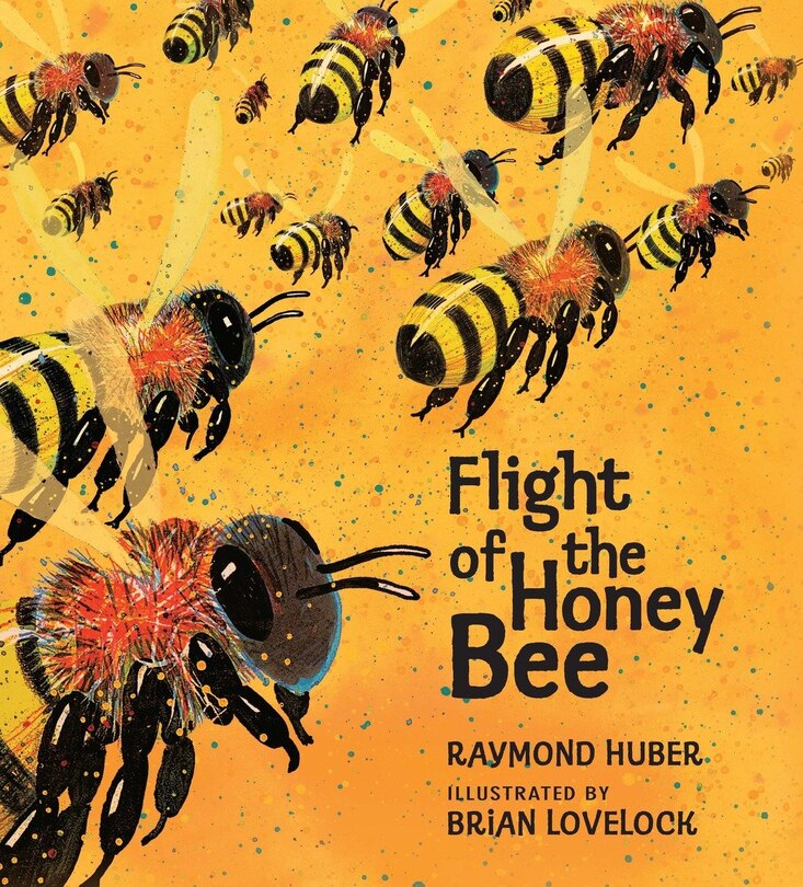 Front cover_Flight Of The Honey Bee