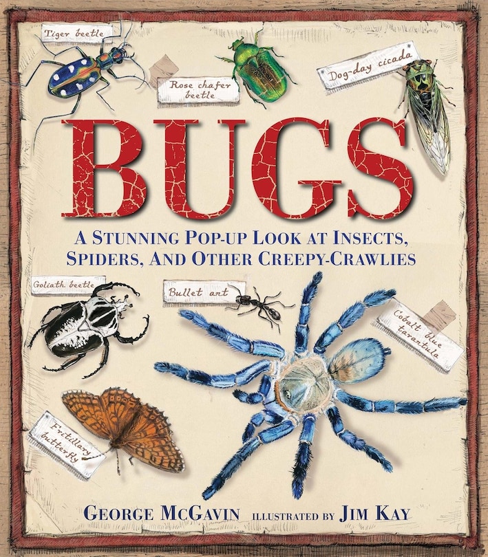 Bugs: A Stunning Pop-up Look At Insects, Spiders, And Other Creepy-crawlies