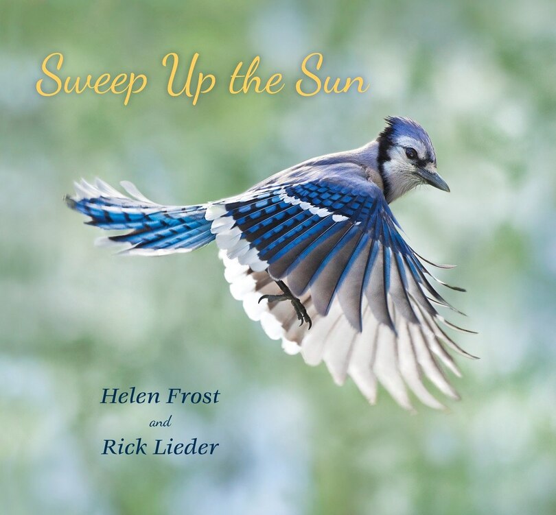 Front cover_Sweep Up The Sun