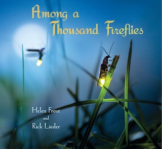 Front cover_Among A Thousand Fireflies