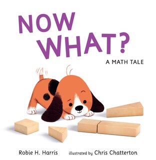 Couverture_Now What? A Math Tale