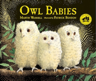 Front cover_Owl Babies