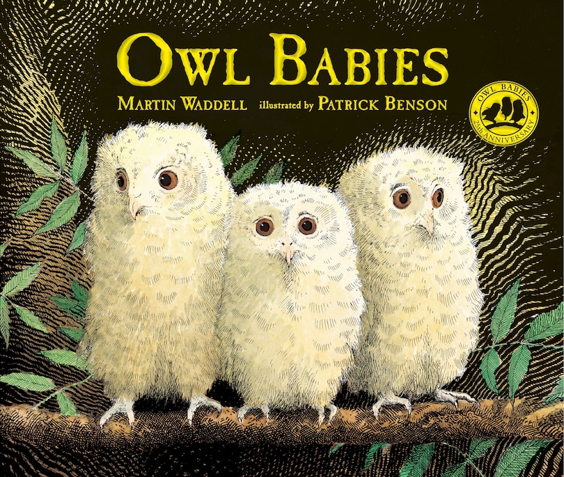Front cover_Owl Babies