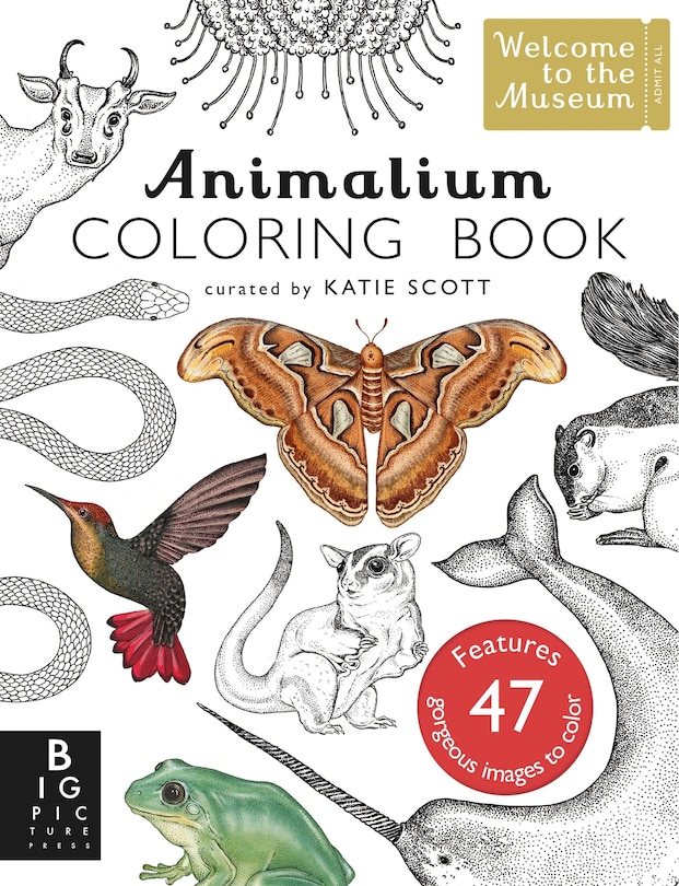 Front cover_Animalium Coloring Book