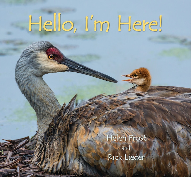 Front cover_Hello, I'm Here!