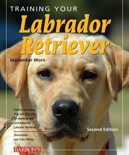 Couverture_Training Your Labrador Retriever