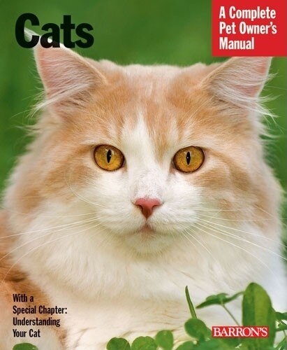 Front cover_Cats