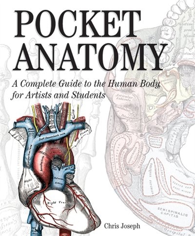 Couverture_Pocket Anatomy