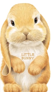 Couverture_Little Bunny