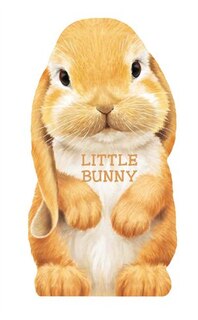 Front cover_Little Bunny