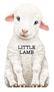 Couverture_Little Lamb
