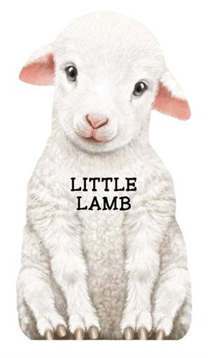 Couverture_Little Lamb