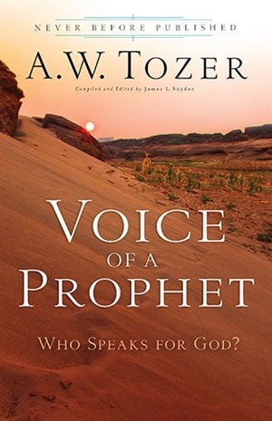 Couverture_Voice of a Prophet