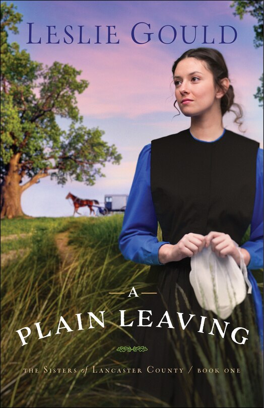 A PLAIN LEAVING
