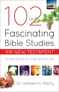 Front cover_102 Fascinating Bible Studies on the New Testament
