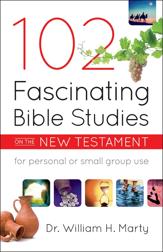 Front cover_102 Fascinating Bible Studies on the New Testament