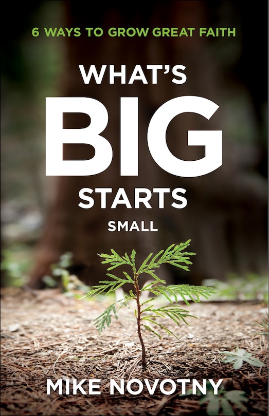 Front cover_What's Big Starts Small