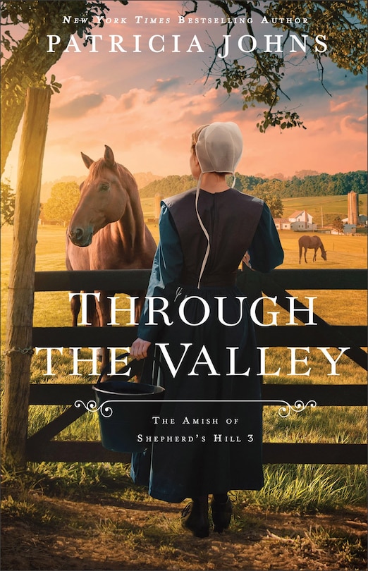 Couverture_Through the Valley