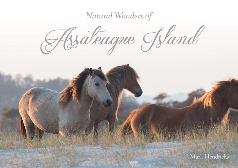 Couverture_Natural Wonders Of Assateague Island