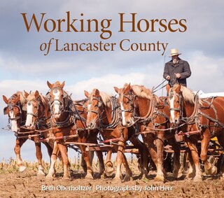 Front cover_Working Horses Of Lancaster County