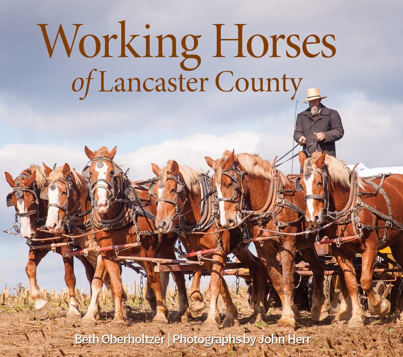 Front cover_Working Horses Of Lancaster County