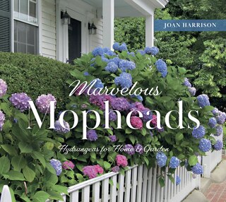 Front cover_Marvelous Mopheads