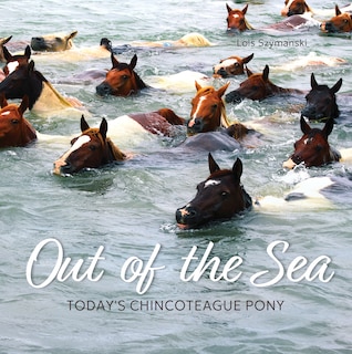 Front cover_Out of the Sea