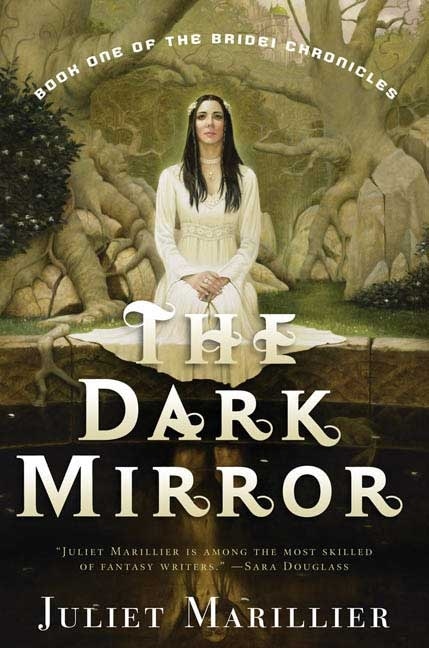 Couverture_The Dark Mirror