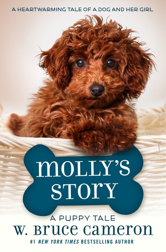 Front cover_Molly's Story