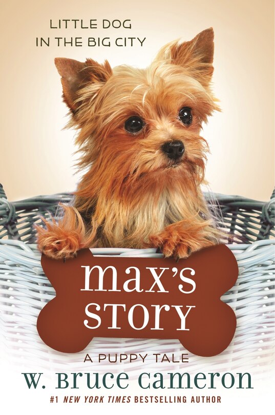 Couverture_Max's Story