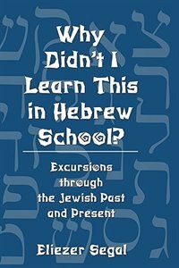 Front cover_Why Didn't I Learn This in Hebrew School?
