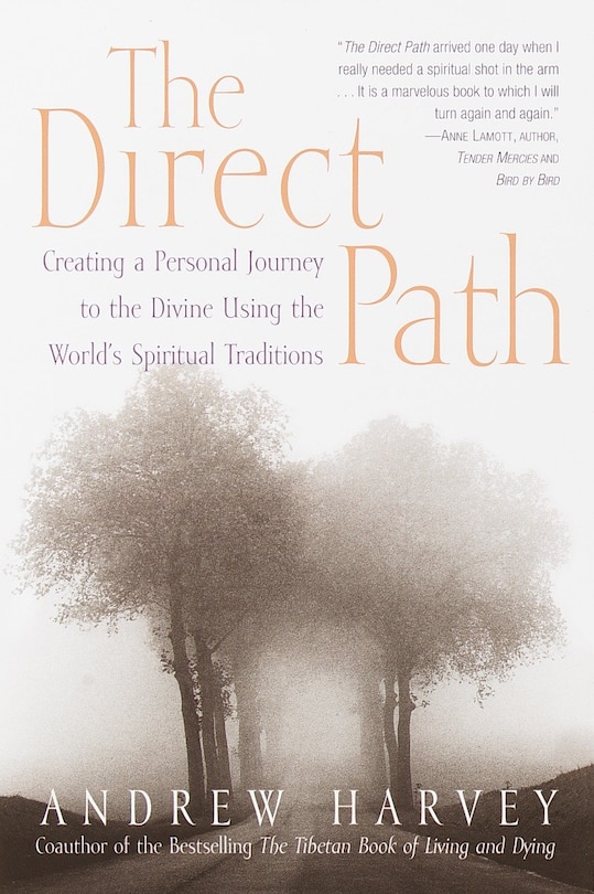 Couverture_The Direct Path