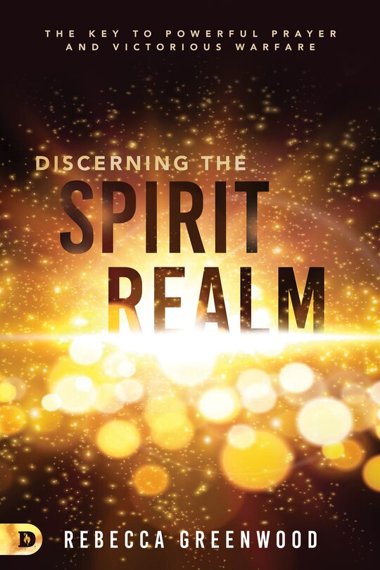 Couverture_Discerning the Spirit Realm