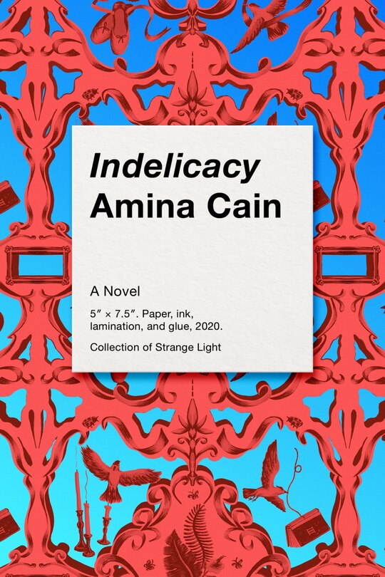 Couverture_Indelicacy