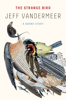 Couverture_The Strange Bird