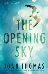 Front cover_The Opening Sky