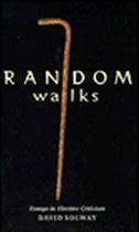 Couverture_Random Walks