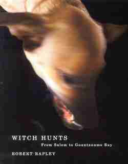 Witch Hunts: From Salem to Guantanamo Bay by Robert Rapley