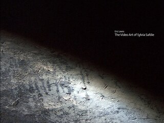 Front cover_The Video Art of Sylvia Safdie