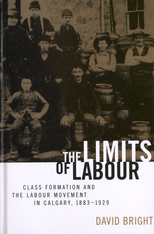 Front cover_The Limits of Labour