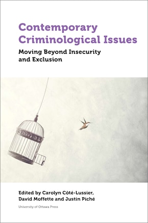 Contemporary Criminological Issues: Moving Beyond Insecurity And Exclusion