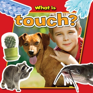 What Is Touch?
