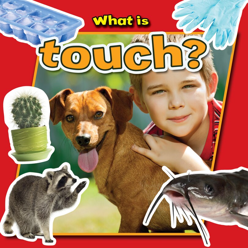 What Is Touch?