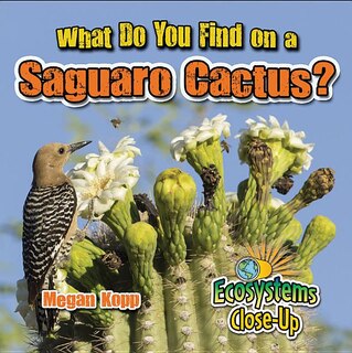 Front cover_What Do You Find on a Saguaro Cactus?