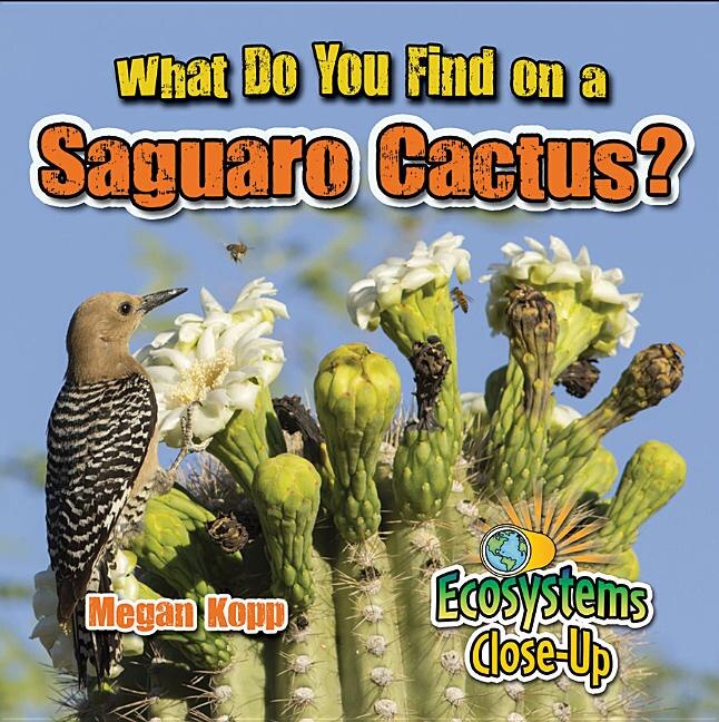 Front cover_What Do You Find on a Saguaro Cactus?