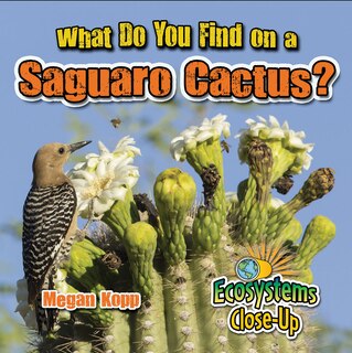 Couverture_What Do You Find on a Saguaro Cactus?
